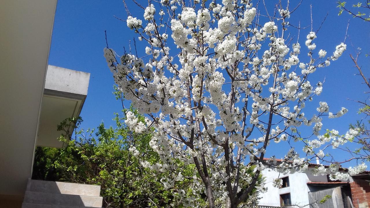 Apartments Vladimir Agios Nikolaos  Buitenkant foto